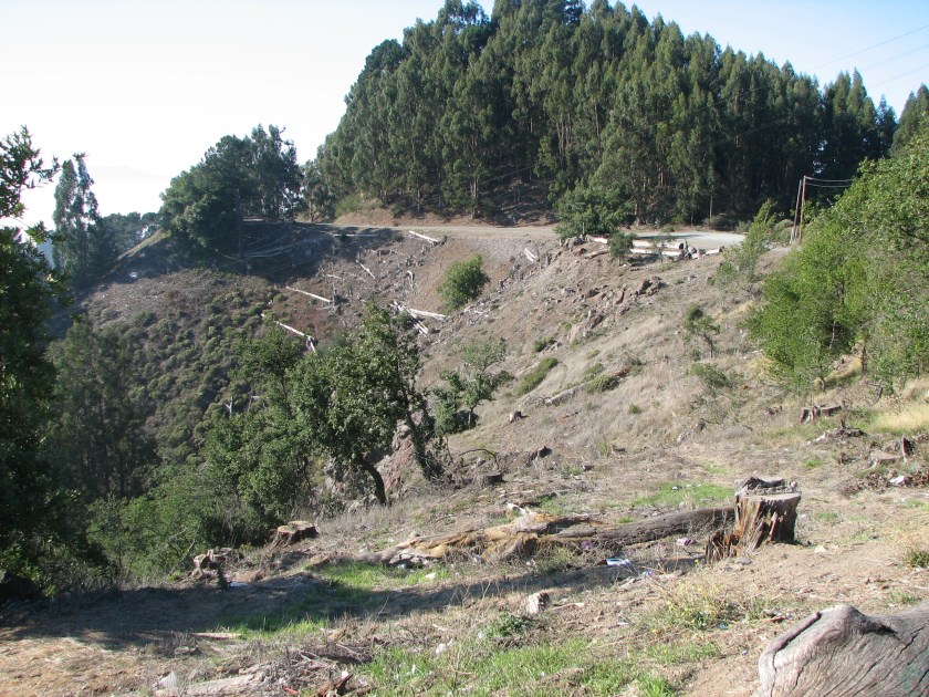 UC Berkeley's "Vegetation Management"