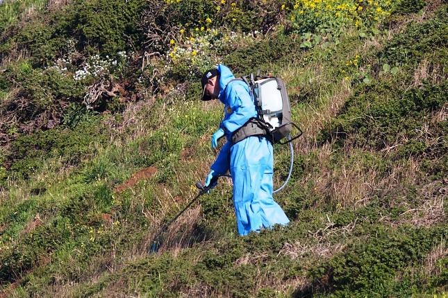 Pesticide use in public parks in the San Francisco Bay&nbsp;Area