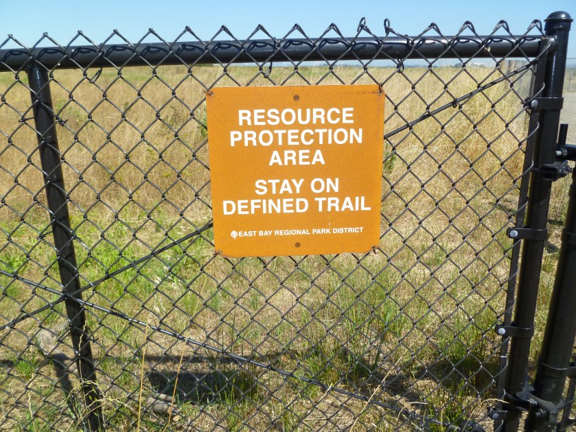 The Berkeley Meadow is a 72-acre native plant garden on a former garbage dump on landfill.