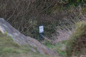 Glen Canyon setting of pesticide application 12-11