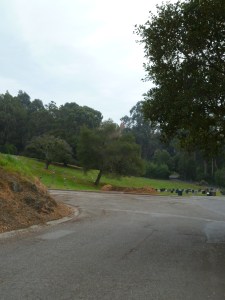 Mountain View Cemetery