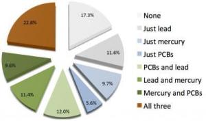 The body burden of multiple pollutants