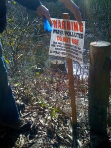 Bacterial pollution at Pine Lake, San Francisco.  February 2012