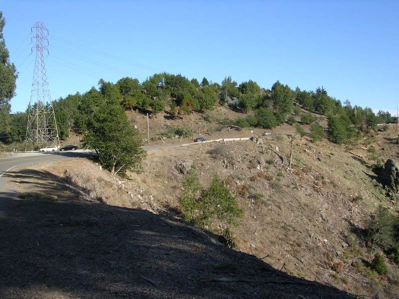 Frowning Ridge after 1,900 trees were removed from 11 acres in 2004