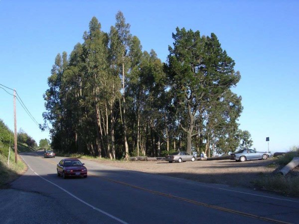 Frowning Ridge before "vegetation management"