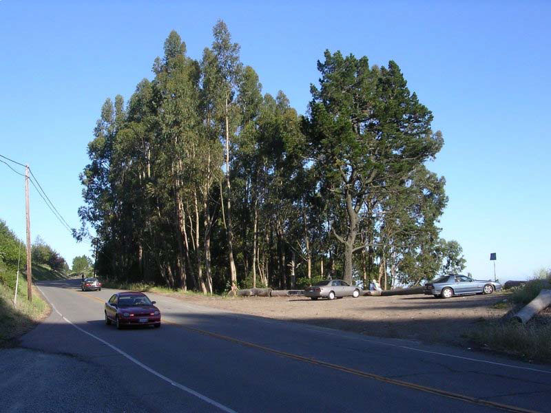 Frowning Ridge before "vegetation management"