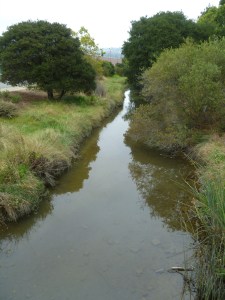 Cerritos Creek