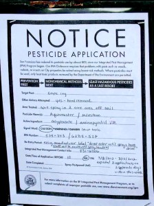 Glyphosate application, Glen Park, San Francisco.