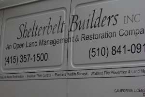 Shelterbelt began the eradication of non-natve vegetation in Glen Canyon in November 2011