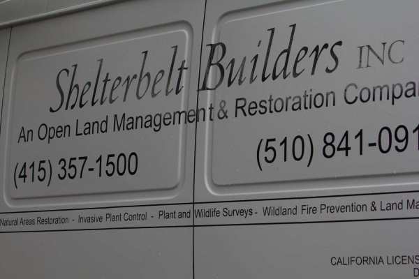 Shelterbelt began the eradication of non-natve vegetation in Glen Canyon in November 2011