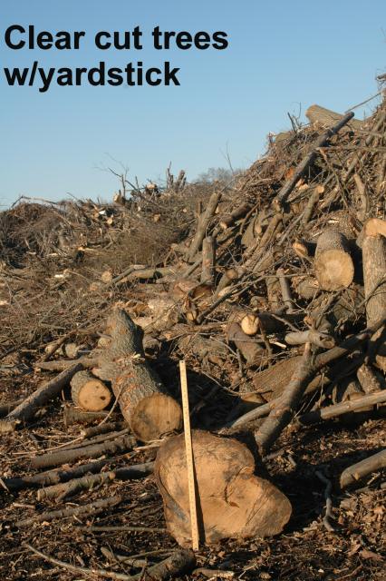 Trees destroyed in Chicago for prairie "restoration"