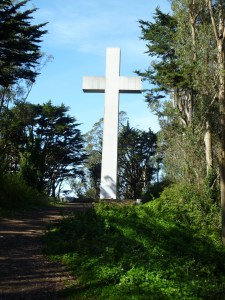Most of these trees on Mount Davidson will be destroyed if the plans of the Natural Areas Program are implemented.