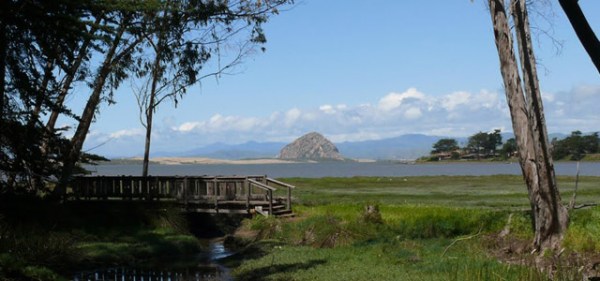 Sweet Springs Nature Preserve, Los Osos, California
