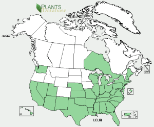 Range map of Japanese honeysuckle.  USDA