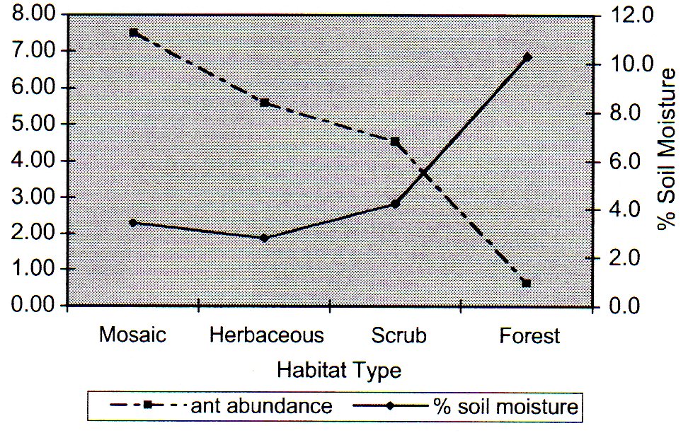 Ant abundance and soil moisture