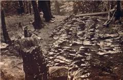 Migrating hawks shot in one day prior to establishing sanctuary.  Courtesy Hawk Mountain Sanctuary Archives