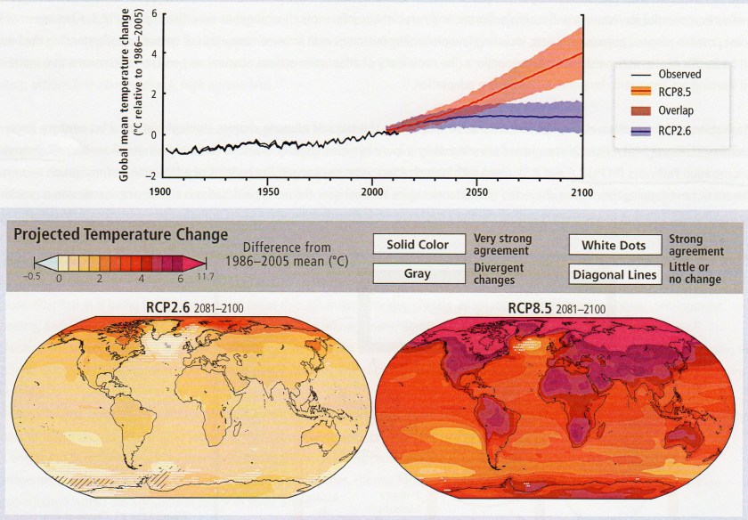 Observed and projected temperature change, IPCC 2014