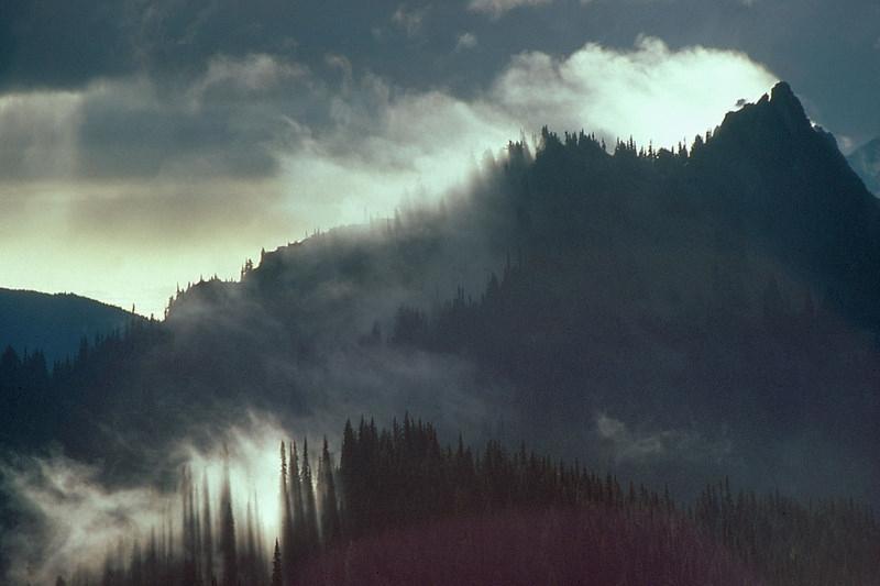 Olympic National Park.  NPS photo