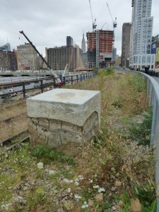 Self-Seeded landscape of Phase 3 of High Line Park