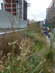 Landscape of first phase of High Line Park