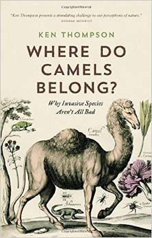 Where do camels belong