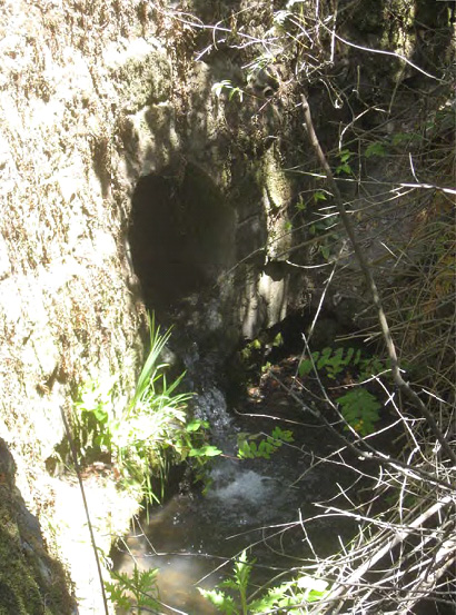 FEMA comment - Adams 1 copy