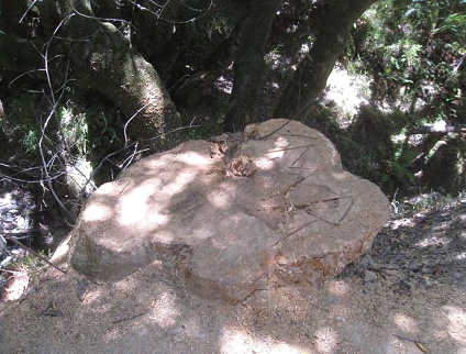 FEMA comment - Adams 2 copy