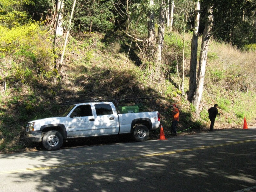 Herbicide spraying in one of the project areas