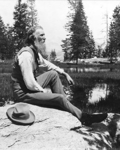 John Muir is the founder of the Sierra Club. He would disgusted by the Club's advocacy for deforestation. He planted eucalyptus trees on his property in Martinez. He was as fond of eucalyptus as those who fight for their preservation.