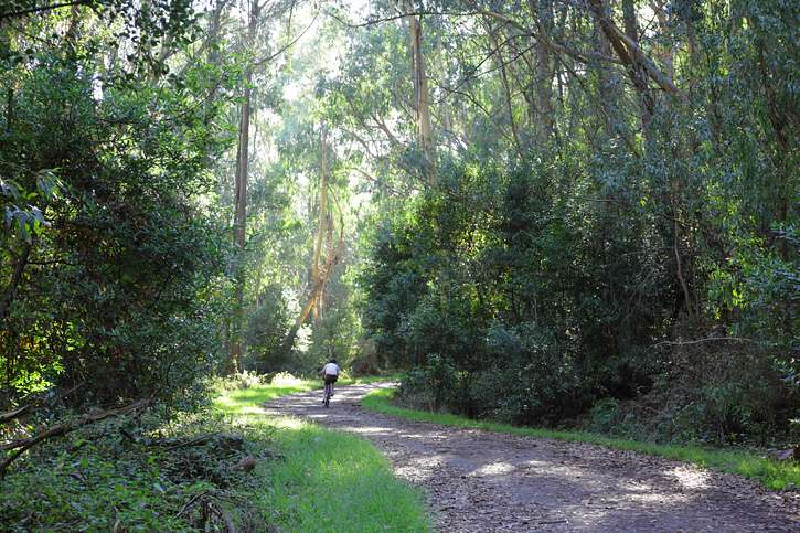 Tilden Park, Berkeley. Courtesy Save the East Bay Hills