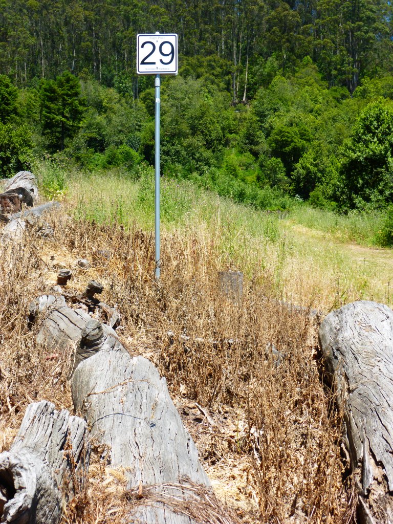 Logs of trees that were destroyed line the road. Weeds are brown where they have sprayed with herbicide. Site 29, May 2016