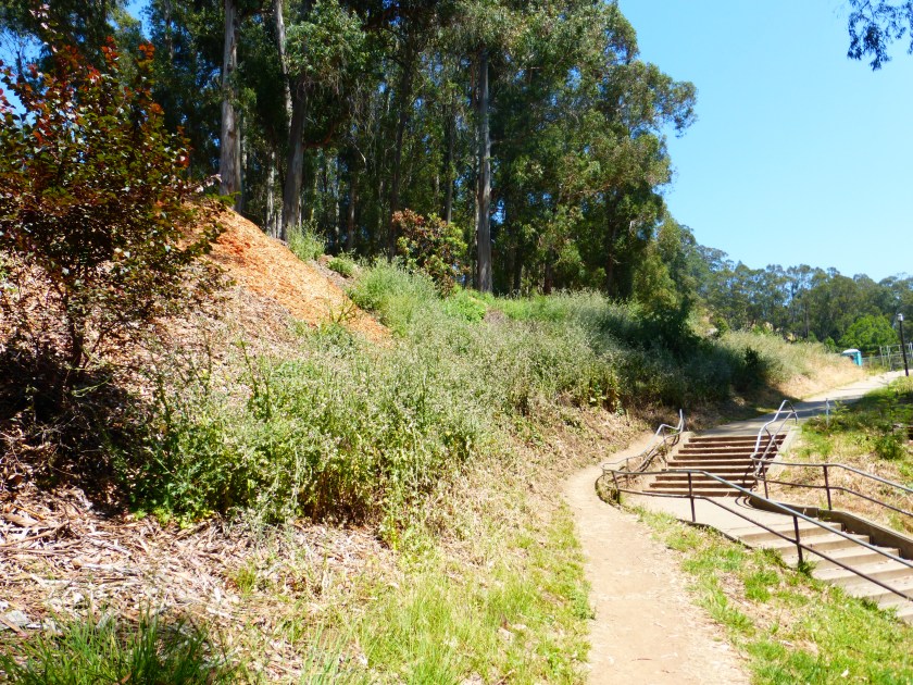 Dwight Way and Sports Lane. May 2016