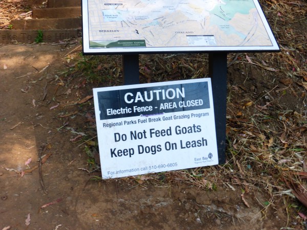 Dwight Way and Sports Lane. May 2016