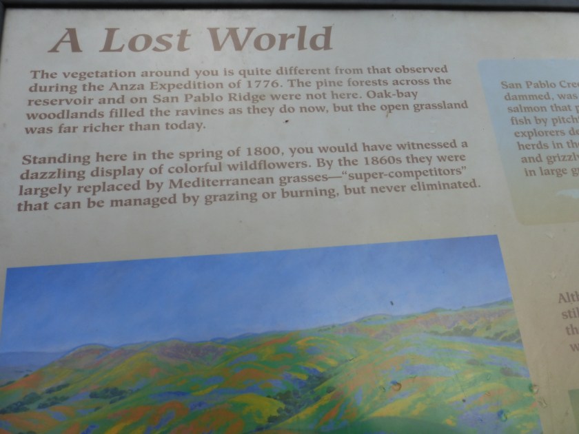 Sign at Inspiration Point, Tilden Park: 
