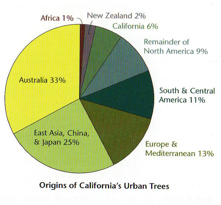urban-trees-origins