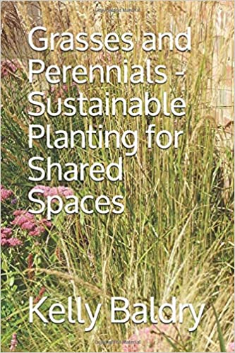 “Grasses and Perennials:  Sustainable planting for shared&nbsp;spaces”