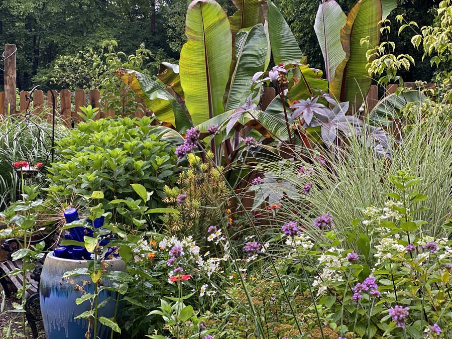 Nativism turns a blind eye to climate&nbsp;change