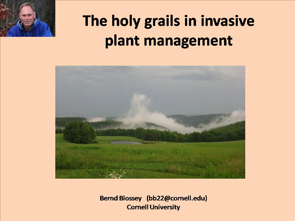 Science meets the “restoration” industry