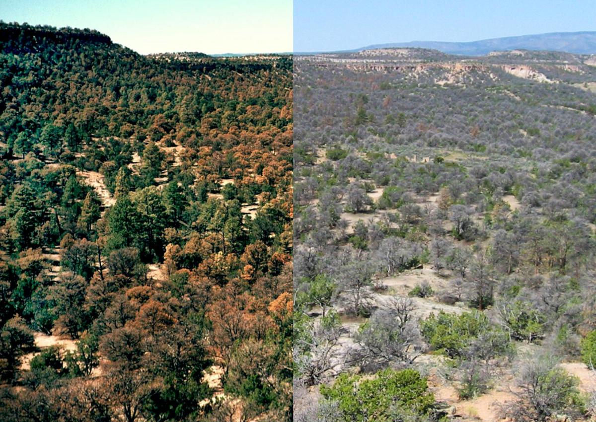 The National Park Service has an&nbsp;epiphany