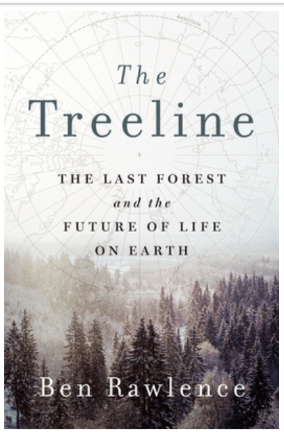 The Treeline:  Where forests meet&nbsp;ice